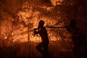 why-does-southeast-asia-keep-breathing-the-same-haze-—-and-can-asean-do-more-to-stop-it?