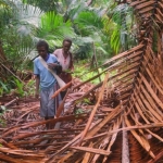 suara-perempuan-adat-papua-untuk-tanah-dan-hutan