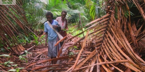 suara-perempuan-adat-papua-untuk-tanah-dan-hutan