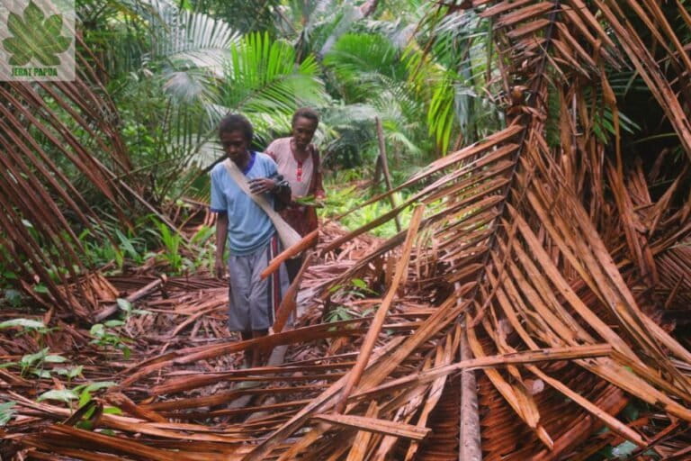 suara-perempuan-adat-papua-untuk-tanah-dan-hutan