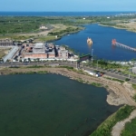 menanti-pemulihan-hutan-mangrove-eks-psn-di-pesisir-tangerang