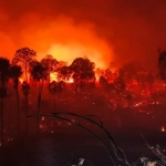 ketika-ikn-tak-luput-dari-kepungan-karhutla