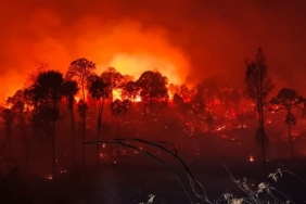 ketika-ikn-tak-luput-dari-kepungan-karhutla