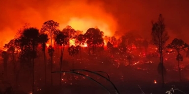 ketika-ikn-tak-luput-dari-kepungan-karhutla