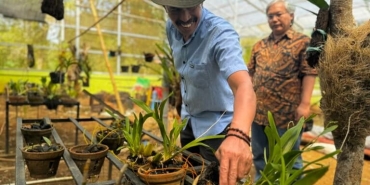 asri,-27-tahun-menjaga-anggrek-hutan-campaga
