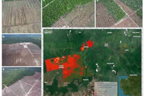 asap-karhutla-kepung-asia-tenggara,-urgennya-solusi-tata-kelola-gambut