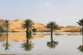 from-drought-to-floods-in-north-africa:-what-could-the-super-el-nino-do-next?