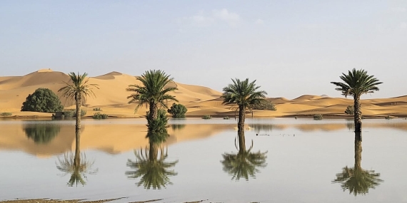 from-drought-to-floods-in-north-africa:-what-could-the-super-el-nino-do-next?