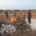polisi-tertibkan-bangunan-diduga-arena-sabung-ayam-di-sidayu-gresik