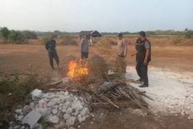 polisi-tertibkan-bangunan-diduga-arena-sabung-ayam-di-sidayu-gresik
