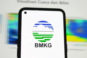 wacana-peleburan-bmkg-dan-badan-geologi,-pengamat-soroti-anggaran-dan-regulasi