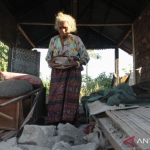 bnpb:-korban-gempa-ntt-capai-136-jiwa-70-persen-rumah-terverifikasi