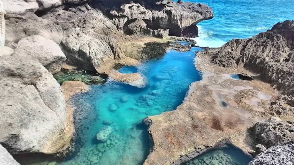 pantai-kedung-tumpang-tulungagung,-pesisir-berbatu-dengan-kolam-alami-dan-nilai-geologi-langka